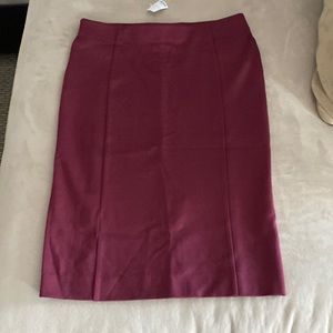 NWT Ann Taylor Pencil Skirt